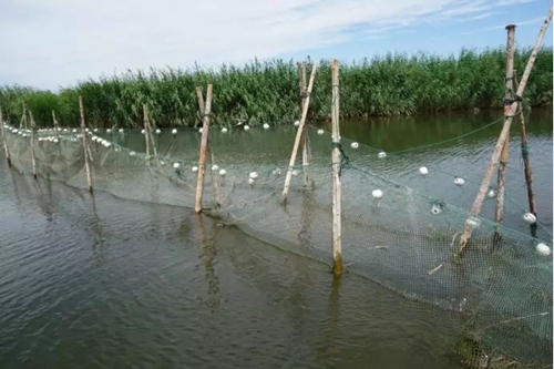 烏梁素海生態(tài)環(huán)境形勢仍不樂觀 綜合治理規(guī)劃不嚴(yán)不實(shí)