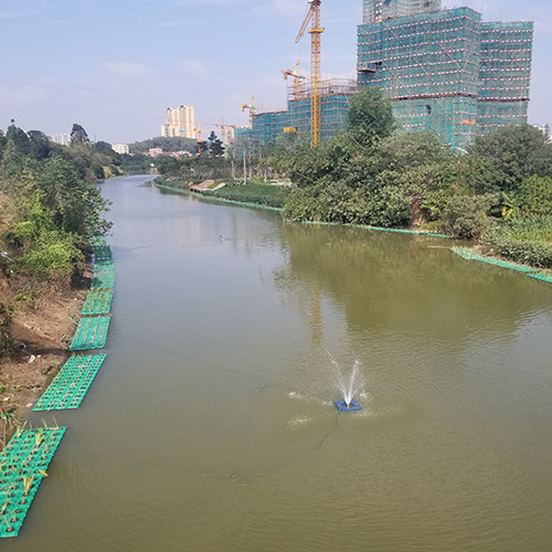 氨氮總氮超標